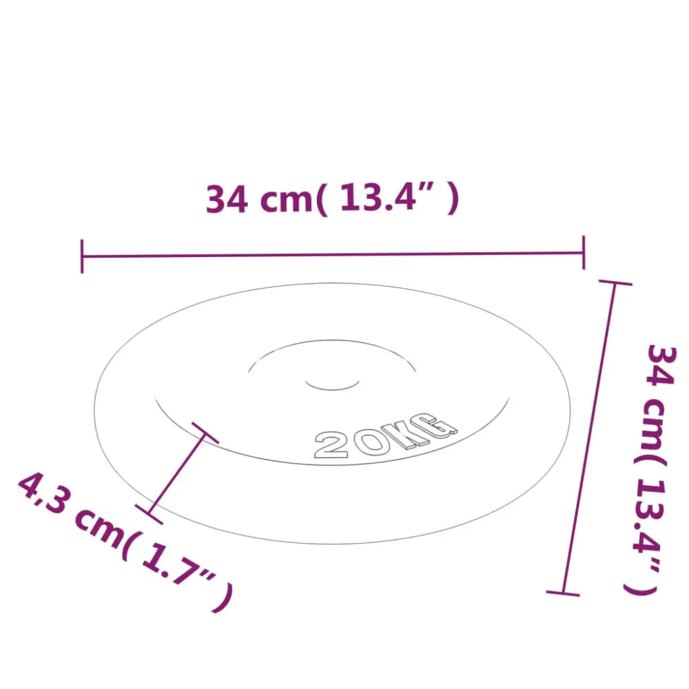 Weegplaat met afmetingen gelabeld in centimeters en inches.